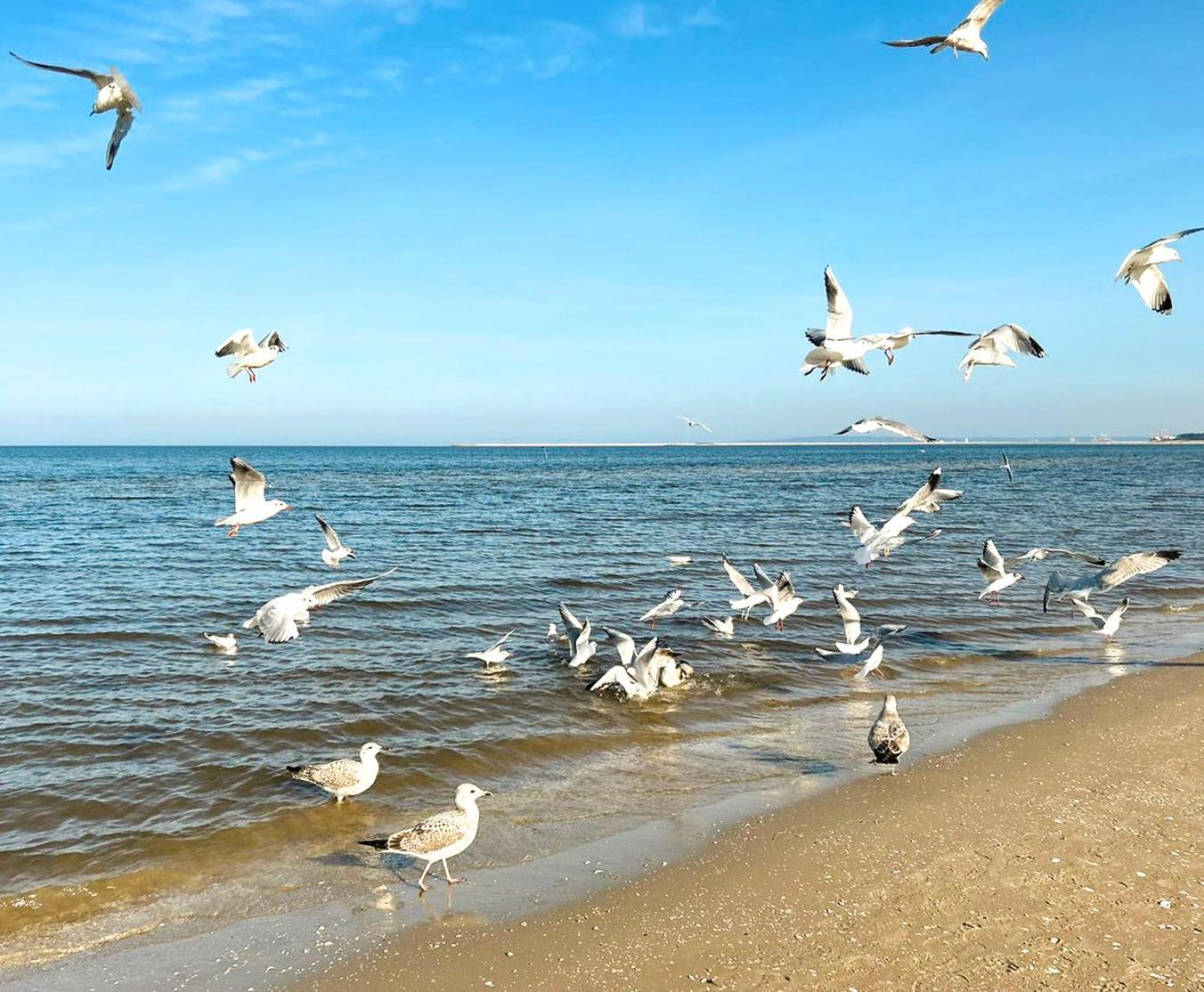 Visit Baltic - Rezydencja Sienkiewicza Rs1.07 Świnoujście Esterno foto